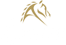 Apzara Logo